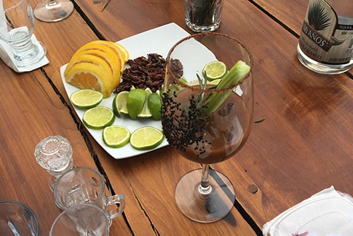 Mezcal and Tequila Tastings