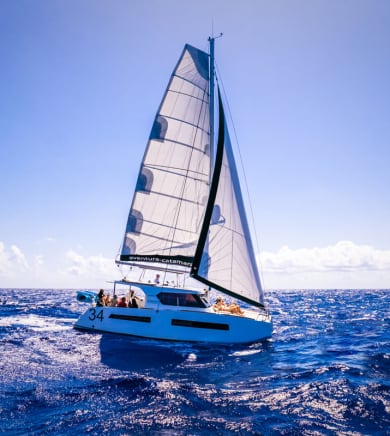 Aventura Catamaran:14