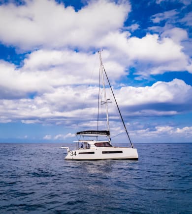 Aventura Catamaran:23