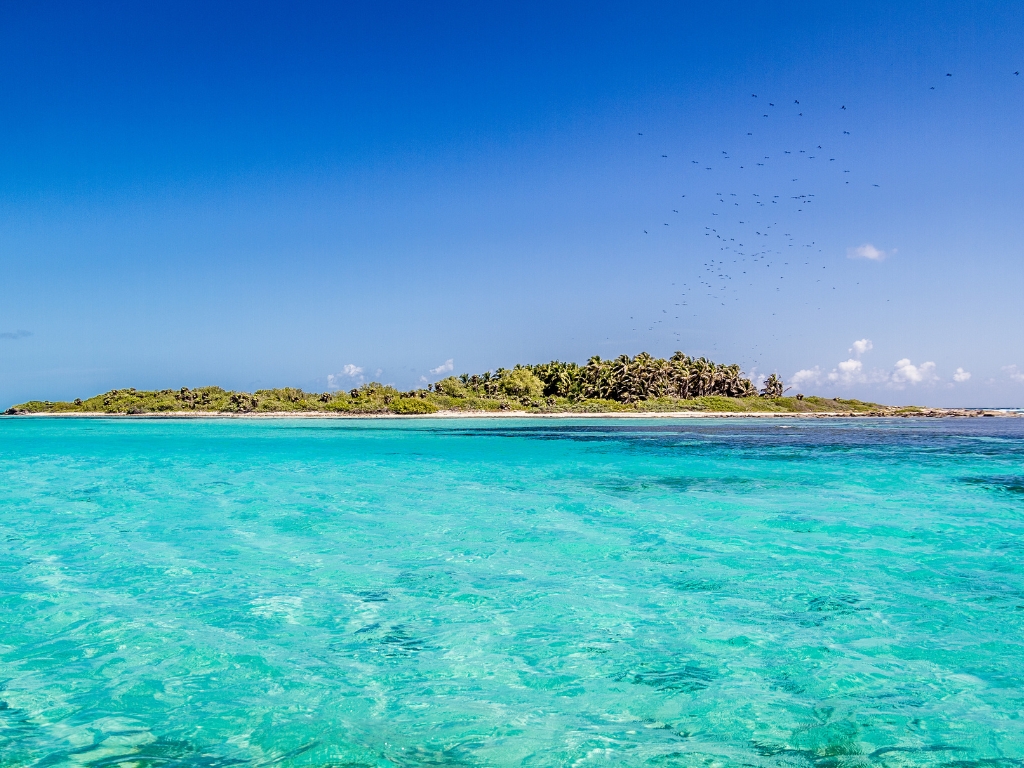 CONTOY & ISLA MUJERES (11)